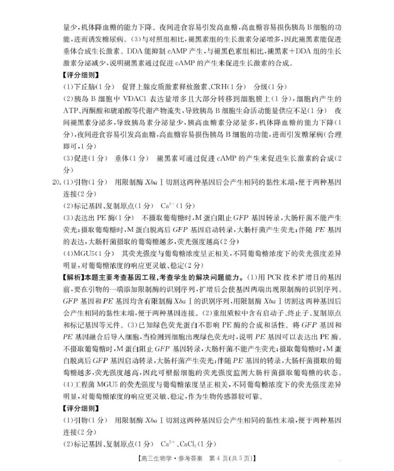 河南省2026届高三下学期3月开学联考生物答案_2024-2026高三（6-6月题库）_2026年03月高三试卷_260311金太阳&middot;河南省2026届高三下学期3月开学联考（全科）