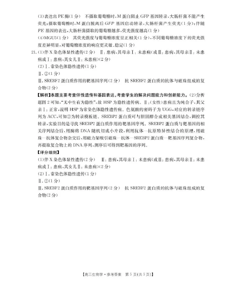 河南省2026届高三下学期3月开学联考生物答案_2024-2026高三（6-6月题库）_2026年03月高三试卷_260311金太阳&middot;河南省2026届高三下学期3月开学联考（全科）