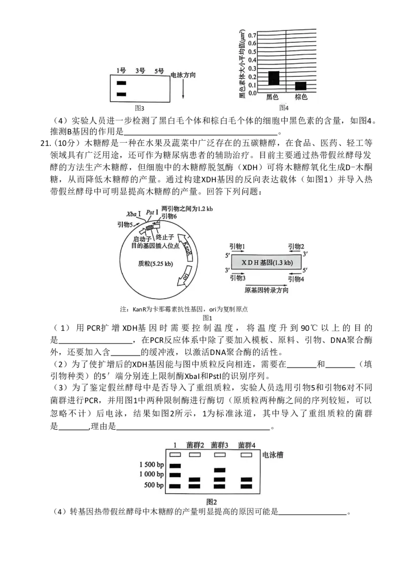 百师联盟2026届高三二轮复习联考（一）生物_2024-2026高三（6-6月题库）_2026年03月高三试卷_260328百师联盟2026届高三二轮复习联考（一）（全科）