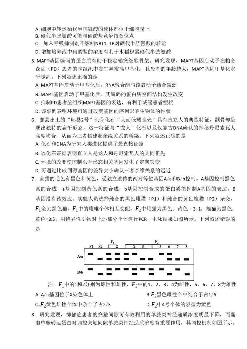 百师联盟2026届高三二轮复习联考（一）生物_2024-2026高三（6-6月题库）_2026年03月高三试卷_260328百师联盟2026届高三二轮复习联考（一）（全科）