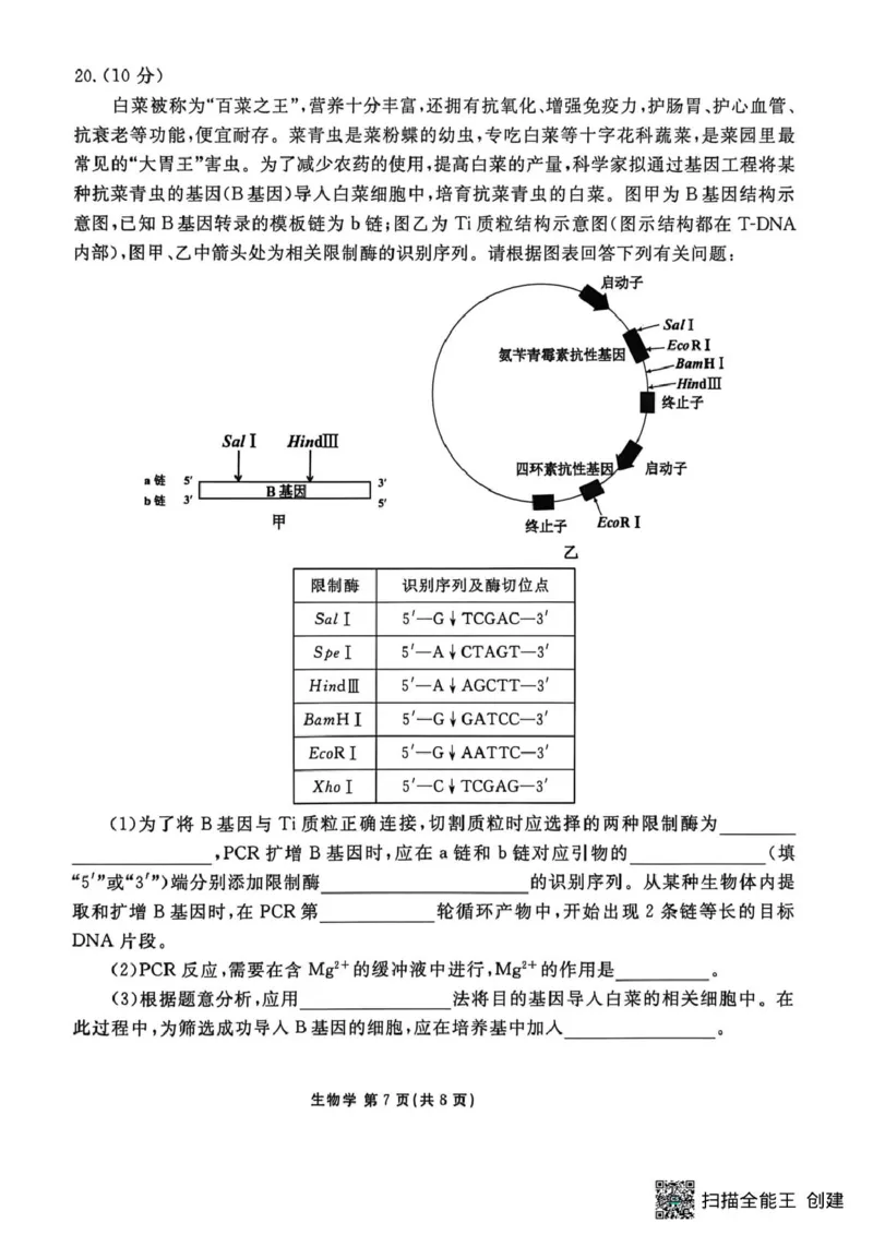 补充资料，编号：57380855.预约首发，2026届陕西安康市高三年级下学期阶段性检测生物学试题试题及参考答案2026届陕西安康市高三年级下学期阶段性检测生物学试题_2024-2026高三（6-6月题库）