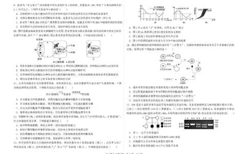 哈尔滨市第一中学、第六中学2026年2月高三零模模拟考试生物_2024-2026高三（6-6月题库）_2026年03月高三试卷