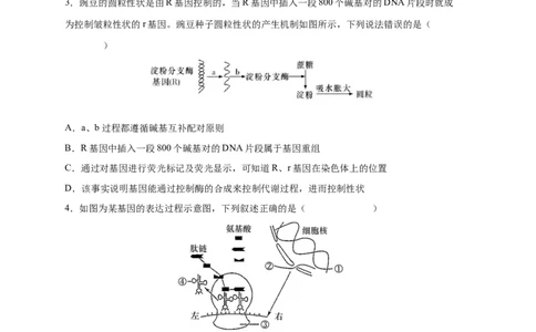 易错点14基因的表达-备战2023年高考生物考试易错题（新教材新高考）（原卷版）_新高考复习资料_2023年新高考复习资料_专项复习_备战2023年高考生物考试易错题（新教材新高考）