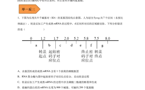 易错点14基因的表达-备战2023年高考生物考试易错题（新教材新高考）（原卷版）_新高考复习资料_2023年新高考复习资料_专项复习_备战2023年高考生物考试易错题（新教材新高考）