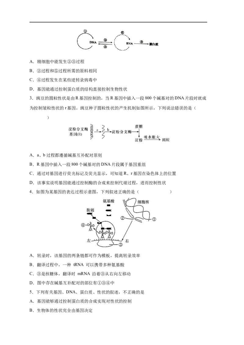 易错点14基因的表达-备战2023年高考生物考试易错题（新教材新高考）（原卷版）_新高考复习资料_2023年新高考复习资料_专项复习_备战2023年高考生物考试易错题（新教材新高考）