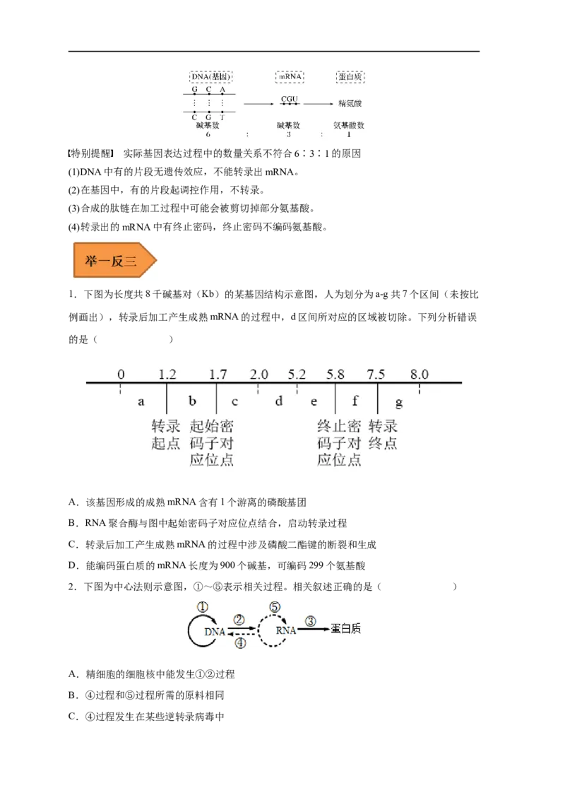 易错点14基因的表达-备战2023年高考生物考试易错题（新教材新高考）（原卷版）_新高考复习资料_2023年新高考复习资料_专项复习_备战2023年高考生物考试易错题（新教材新高考）