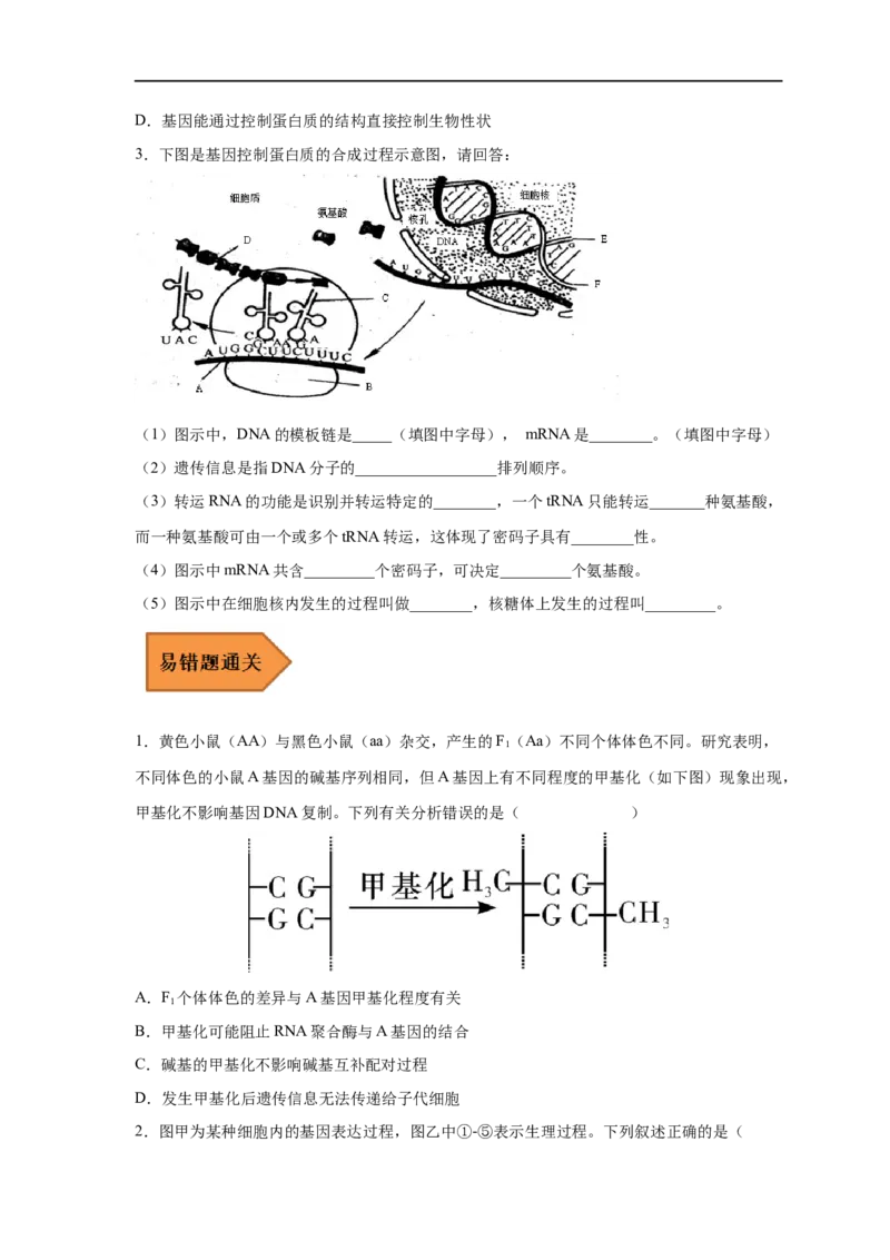 易错点14基因的表达-备战2023年高考生物考试易错题（新教材新高考）（原卷版）_新高考复习资料_2023年新高考复习资料_专项复习_备战2023年高考生物考试易错题（新教材新高考）