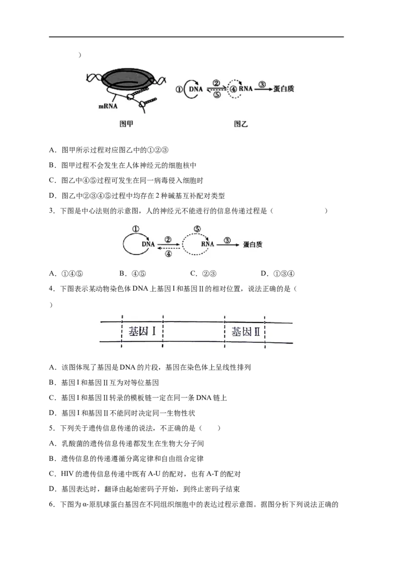易错点14基因的表达-备战2023年高考生物考试易错题（新教材新高考）（原卷版）_新高考复习资料_2023年新高考复习资料_专项复习_备战2023年高考生物考试易错题（新教材新高考）