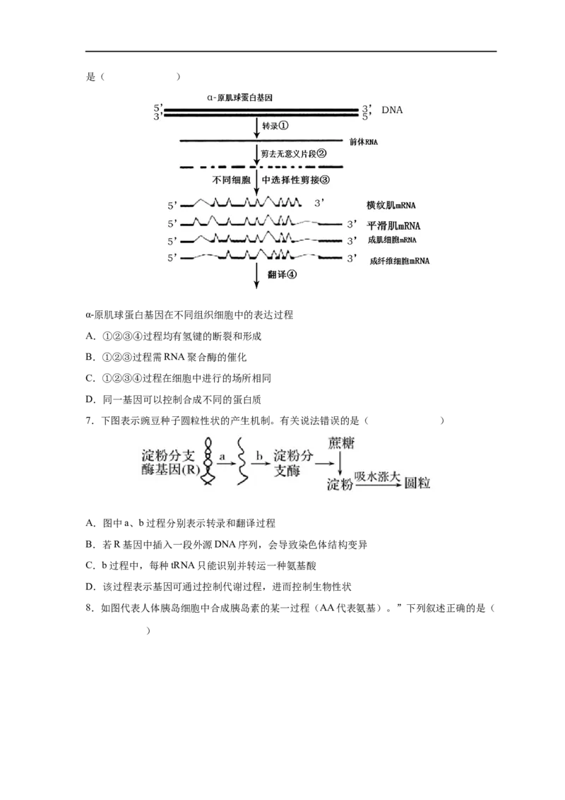 易错点14基因的表达-备战2023年高考生物考试易错题（新教材新高考）（原卷版）_新高考复习资料_2023年新高考复习资料_专项复习_备战2023年高考生物考试易错题（新教材新高考）