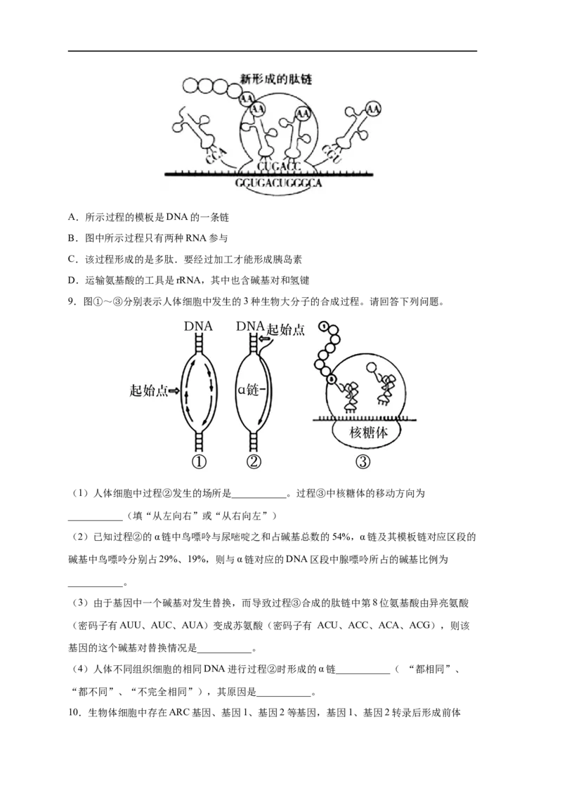 易错点14基因的表达-备战2023年高考生物考试易错题（新教材新高考）（原卷版）_新高考复习资料_2023年新高考复习资料_专项复习_备战2023年高考生物考试易错题（新教材新高考）