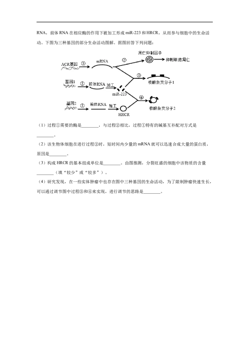 易错点14基因的表达-备战2023年高考生物考试易错题（新教材新高考）（原卷版）_新高考复习资料_2023年新高考复习资料_专项复习_备战2023年高考生物考试易错题（新教材新高考）