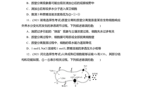 夯基提能练6细胞的物质输入和输出-备战2023高考生物一轮复习夯基提能练（全国通用）（解析版）_通用版（老高考）复习资料_2023年复习资料_一轮复习