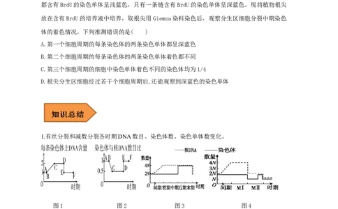 易错点10细胞分裂过程中物质或结构变化分析-备战2023年高考生物考试易错题（全国通用）（原卷版）_通用版（老高考）复习资料_2023年复习资料_专项复习