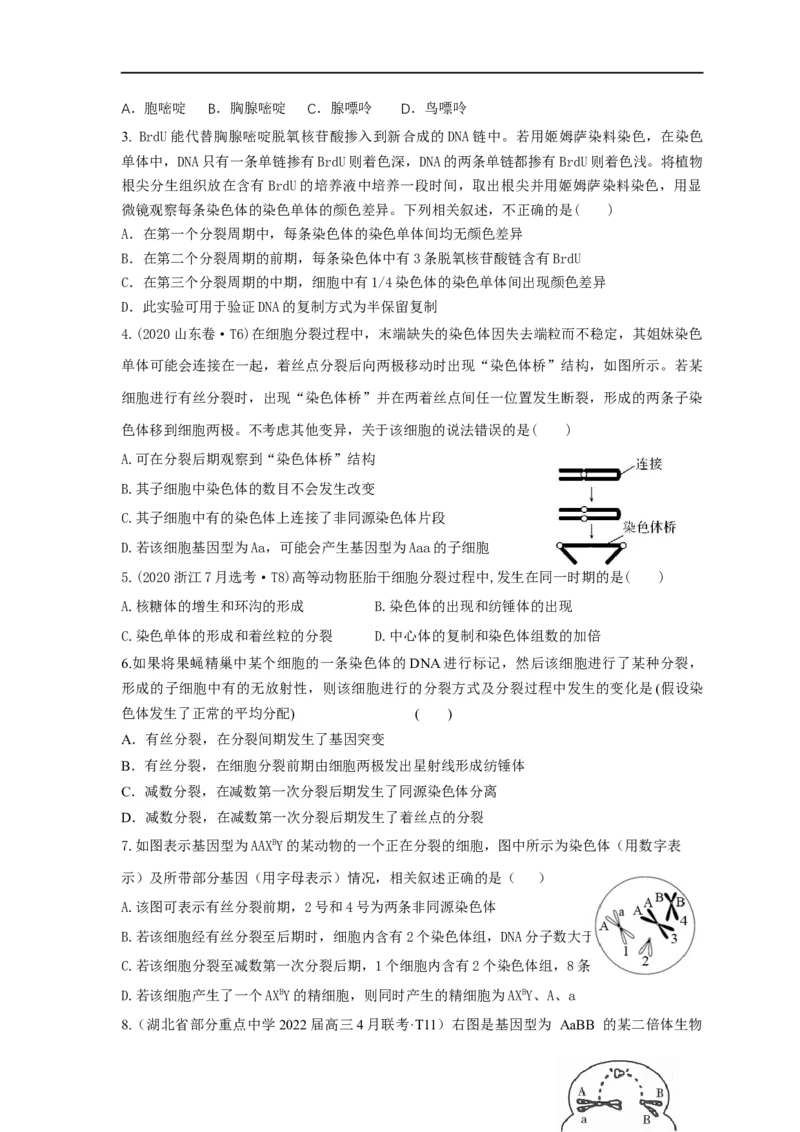 易错点10细胞分裂过程中物质或结构变化分析-备战2023年高考生物考试易错题（全国通用）（原卷版）_通用版（老高考）复习资料_2023年复习资料_专项复习