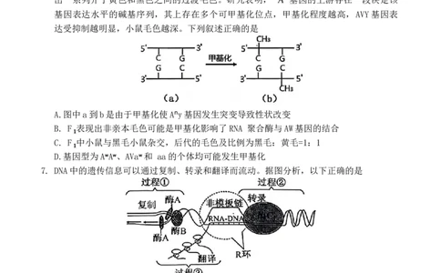 山西省大同市2026届高三年级第一次模拟考试质量监测生物学试卷（含答案）_2024-2026高三（6-6月题库）_2026年03月高三试卷_250309山西大同2026届高三第一次模拟考试质量监测（全科）