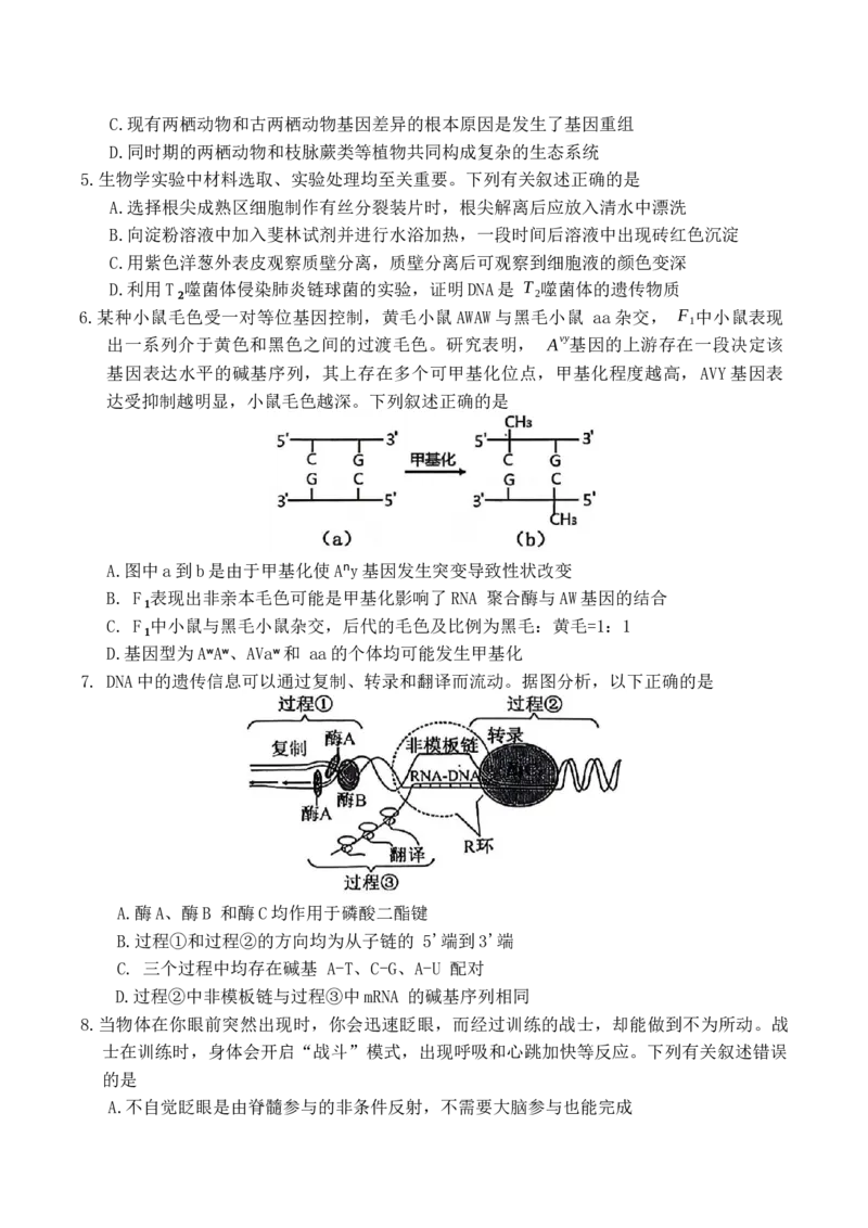 山西省大同市2026届高三年级第一次模拟考试质量监测生物学试卷（含答案）_2024-2026高三（6-6月题库）_2026年03月高三试卷_250309山西大同2026届高三第一次模拟考试质量监测（全科）