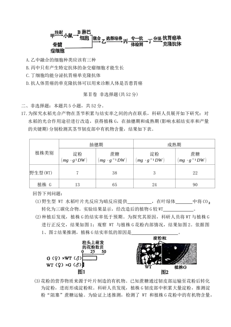山西省大同市2026届高三年级第一次模拟考试质量监测生物学试卷（含答案）_2024-2026高三（6-6月题库）_2026年03月高三试卷_250309山西大同2026届高三第一次模拟考试质量监测（全科）