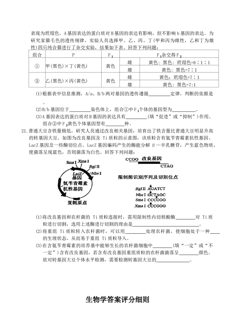 山西省大同市2026届高三年级第一次模拟考试质量监测生物学试卷（含答案）_2024-2026高三（6-6月题库）_2026年03月高三试卷_250309山西大同2026届高三第一次模拟考试质量监测（全科）