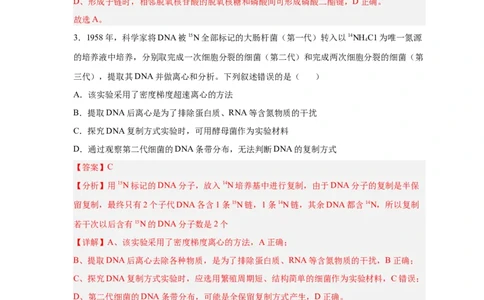 易错点13DNA的结构及复制-备战2023年高考生物考试易错题（新教材新高考）（解析版）_新高考复习资料_2023年新高考复习资料_专项复习_备战2023年高考生物考试易错题（新教材新高考）