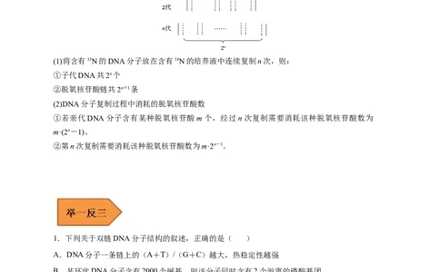 易错点13DNA的结构及复制-备战2023年高考生物考试易错题（新教材新高考）（解析版）_新高考复习资料_2023年新高考复习资料_专项复习_备战2023年高考生物考试易错题（新教材新高考）