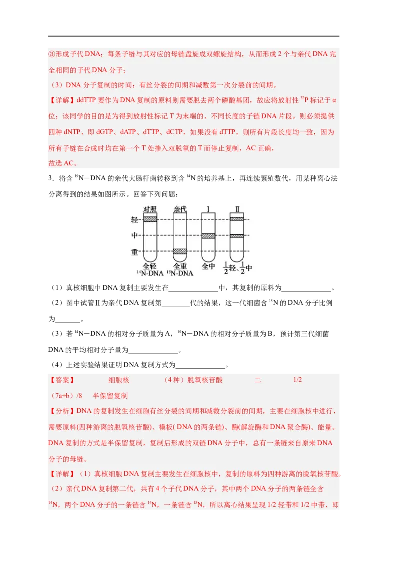 易错点13DNA的结构及复制-备战2023年高考生物考试易错题（新教材新高考）（解析版）_新高考复习资料_2023年新高考复习资料_专项复习_备战2023年高考生物考试易错题（新教材新高考）