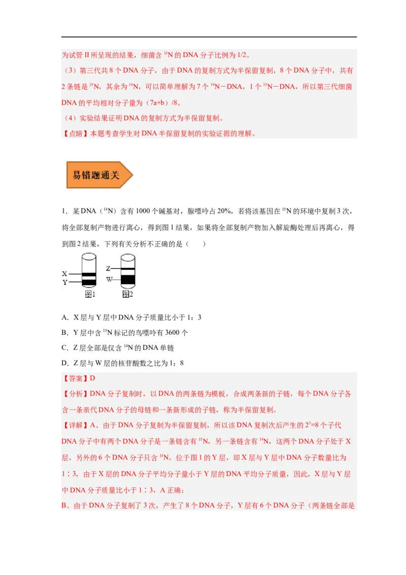 易错点13DNA的结构及复制-备战2023年高考生物考试易错题（新教材新高考）（解析版）_新高考复习资料_2023年新高考复习资料_专项复习_备战2023年高考生物考试易错题（新教材新高考）