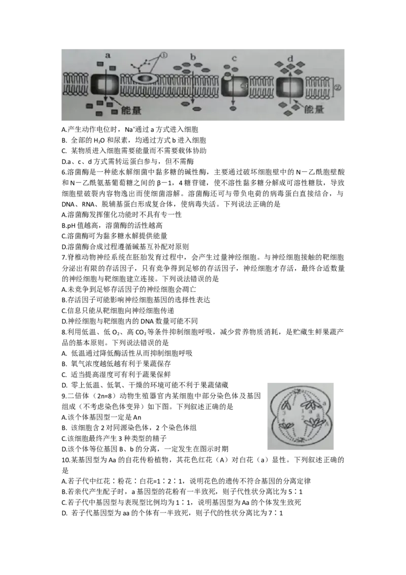 山东省潍坊高密、诸城、安丘2022-2023学年高三上学期10月联考生物试题_生物高考模拟题_新高考_2023年