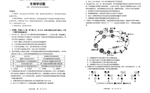 安徽省安庆市2026届高三下学期模拟考试（二模）生物试卷_2024-2026高三（6-6月题库）_2026年03月高三试卷_260321安徽安庆市2026届高三下学期模拟考试（二模）（全科）