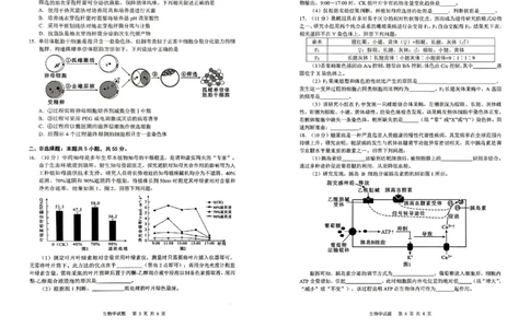 安徽省安庆市2026届高三下学期模拟考试（二模）生物试卷_2024-2026高三（6-6月题库）_2026年03月高三试卷_260321安徽安庆市2026届高三下学期模拟考试（二模）（全科）