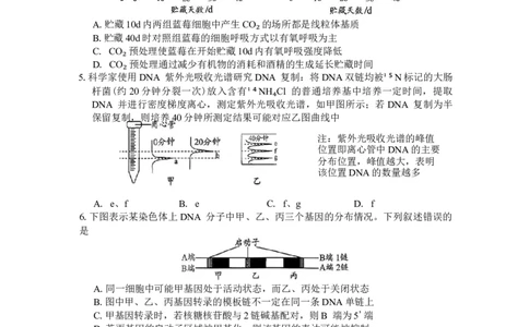 贵州省贵阳市2026年高三年级2月适应性考试（一）(贵阳一模)生物学试题（含答案）_2024-2026高三（6-6月题库）_2026年03月高三试卷
