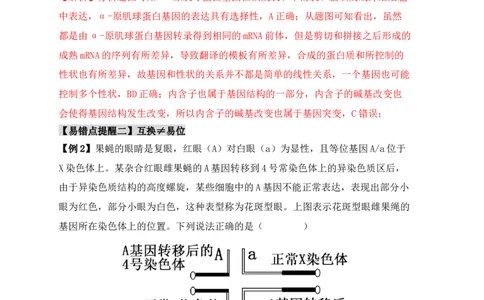 易错点10变异与进化的&ldquo;四个&rdquo;易混点（解析版）_新高考复习资料_2024年新高考复习资料_❤专项复习资料_完备战2024年高考生物考试易错题（新高考专用）_教师版（含答案解析）