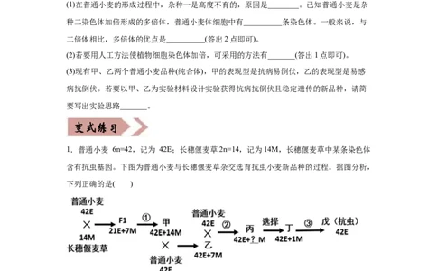 易错点08生物的变异和育种-2021年高考生物一轮复习易错题（学生版）_新高考复习资料_2023年新高考复习资料_一轮复习_2023年新高考大一轮复习讲义_赠2021年高考生物一轮复习易错题