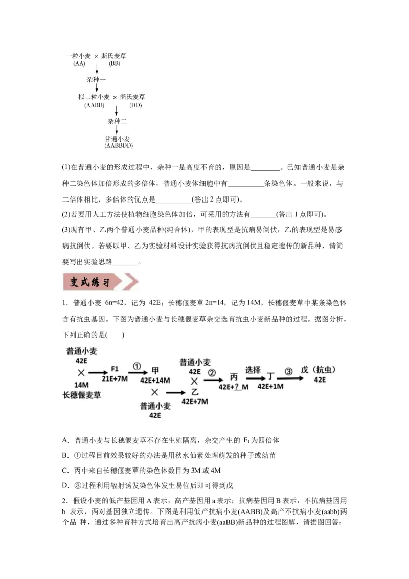 易错点08生物的变异和育种-2021年高考生物一轮复习易错题（学生版）_新高考复习资料_2023年新高考复习资料_一轮复习_2023年新高考大一轮复习讲义_赠2021年高考生物一轮复习易错题