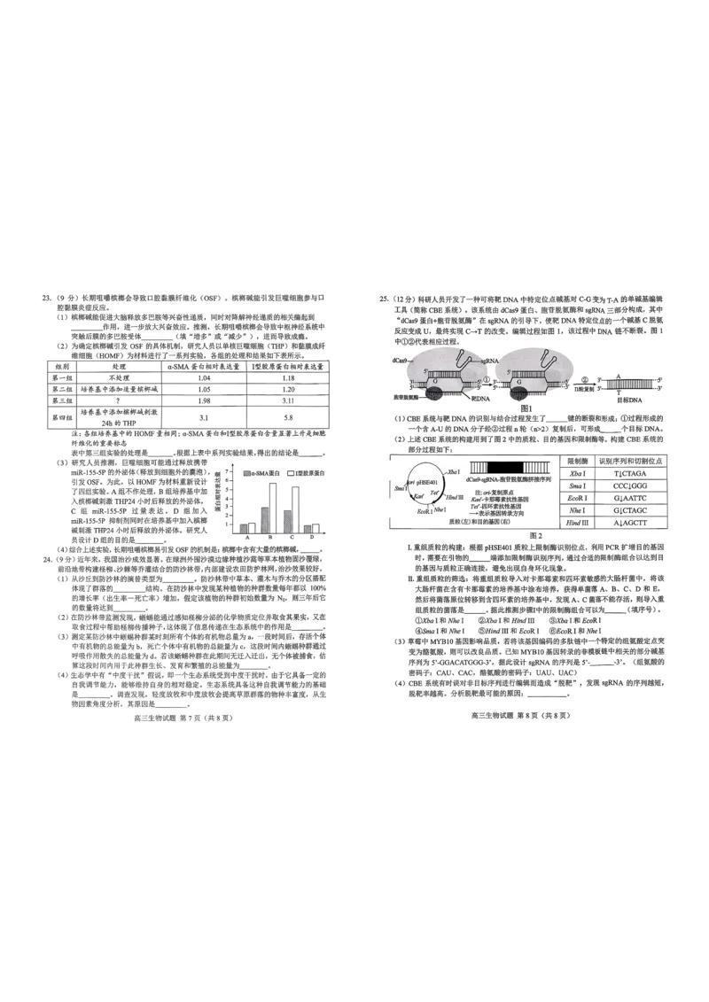 26菏泽一模-生物试题_2024-2026高三（6-6月题库）_2026年03月高三试卷_260310山东菏泽市2026届高三一模考试（全科）