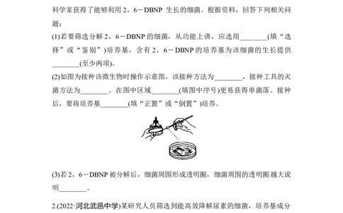 夯基提能练33微生物的培养与应用-备战2023高考生物一轮复习夯基提能练（全国通用）（解析版）_通用版（老高考）复习资料_2023年复习资料_一轮复习