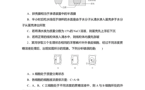 夯基提能练6细胞的物质输入和输出-备战2023高考生物一轮复习夯基提能练（全国通用）（原卷版）_通用版（老高考）复习资料_2023年复习资料_一轮复习