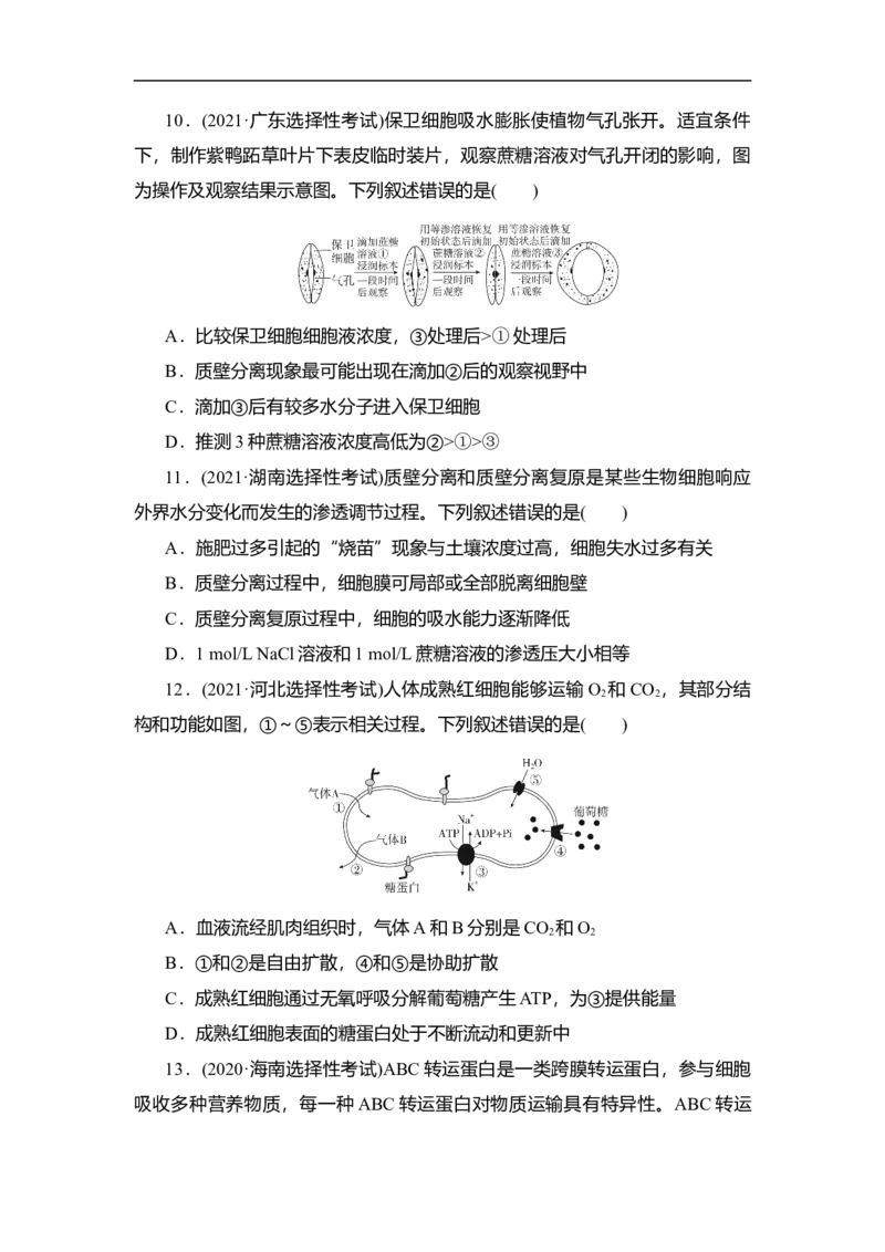 夯基提能练6细胞的物质输入和输出-备战2023高考生物一轮复习夯基提能练（全国通用）（原卷版）_通用版（老高考）复习资料_2023年复习资料_一轮复习