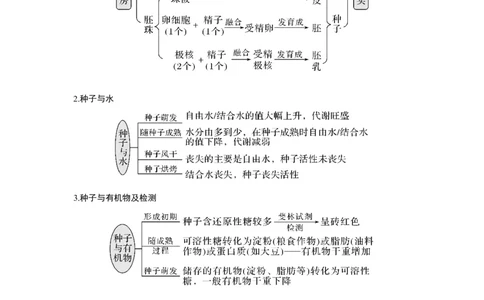 微专题3　种子形成与萌发_新高考复习资料_2023年新高考复习资料_一轮复习_2023年新高考大一轮复习讲义_2023年高考生物一轮复习讲义（新人教新高考）_赠补充习题