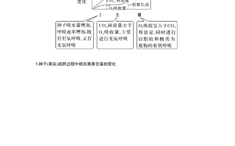 微专题3　种子形成与萌发_新高考复习资料_2023年新高考复习资料_一轮复习_2023年新高考大一轮复习讲义_2023年高考生物一轮复习讲义（新人教新高考）_赠补充习题