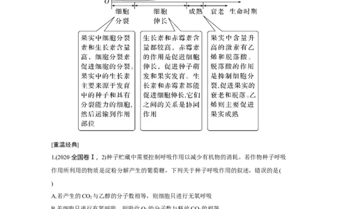 微专题3　种子形成与萌发_新高考复习资料_2023年新高考复习资料_一轮复习_2023年新高考大一轮复习讲义_2023年高考生物一轮复习讲义（新人教新高考）_赠补充习题
