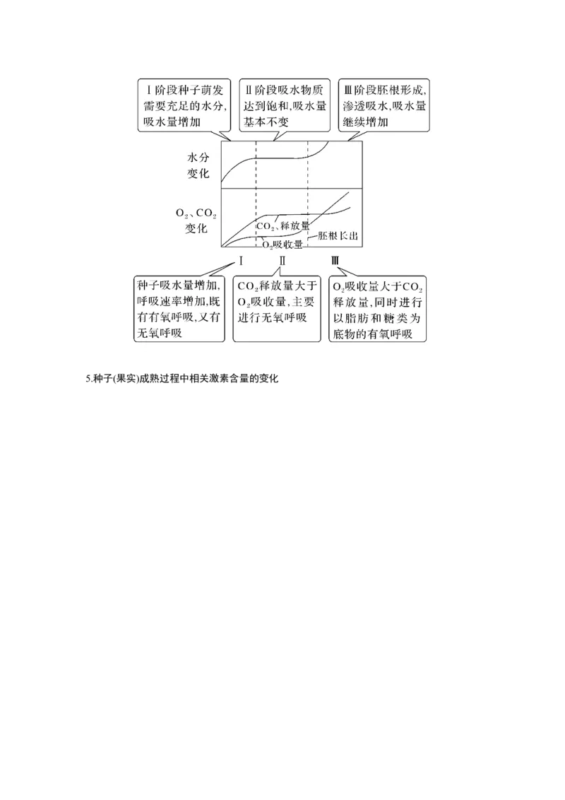 微专题3　种子形成与萌发_新高考复习资料_2023年新高考复习资料_一轮复习_2023年新高考大一轮复习讲义_2023年高考生物一轮复习讲义（新人教新高考）_赠补充习题