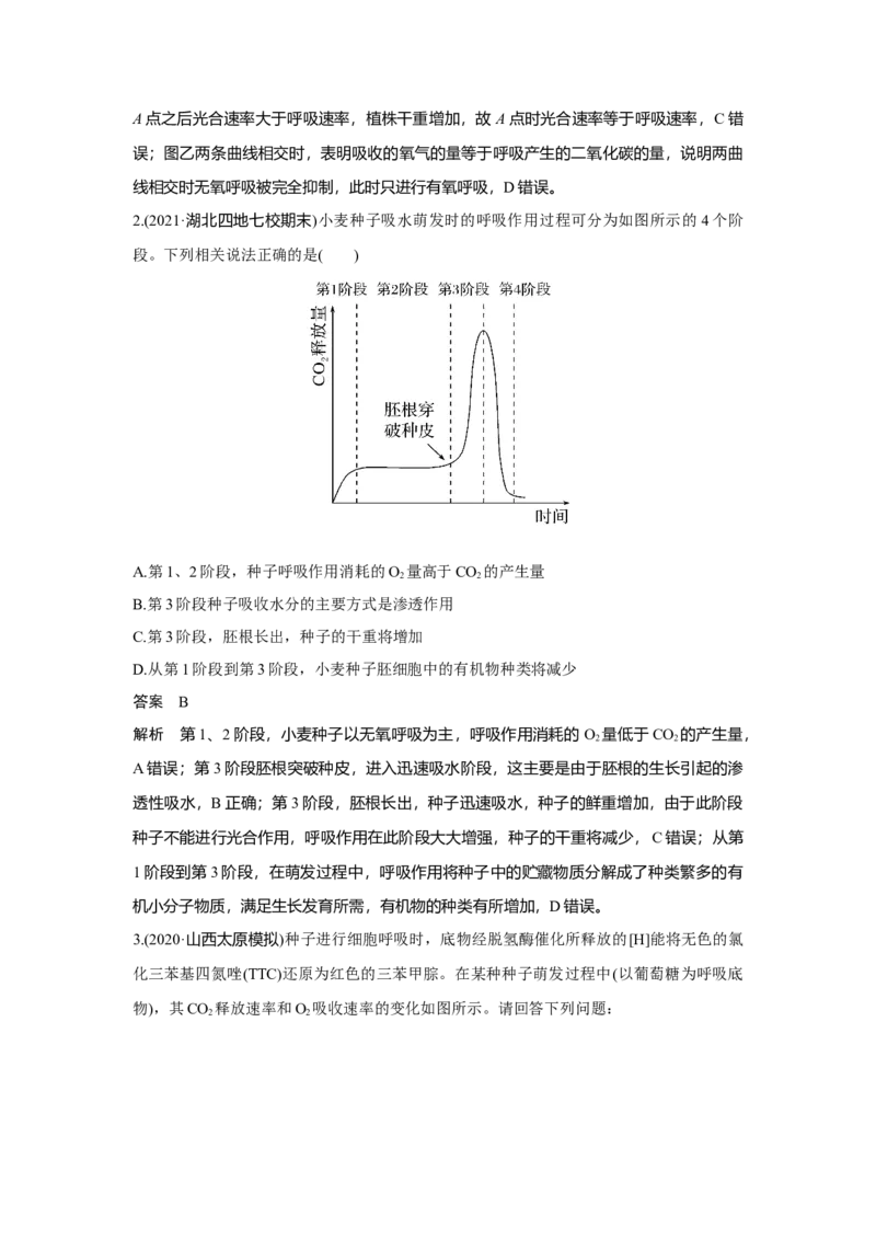 微专题3　种子形成与萌发_新高考复习资料_2023年新高考复习资料_一轮复习_2023年新高考大一轮复习讲义_2023年高考生物一轮复习讲义（新人教新高考）_赠补充习题