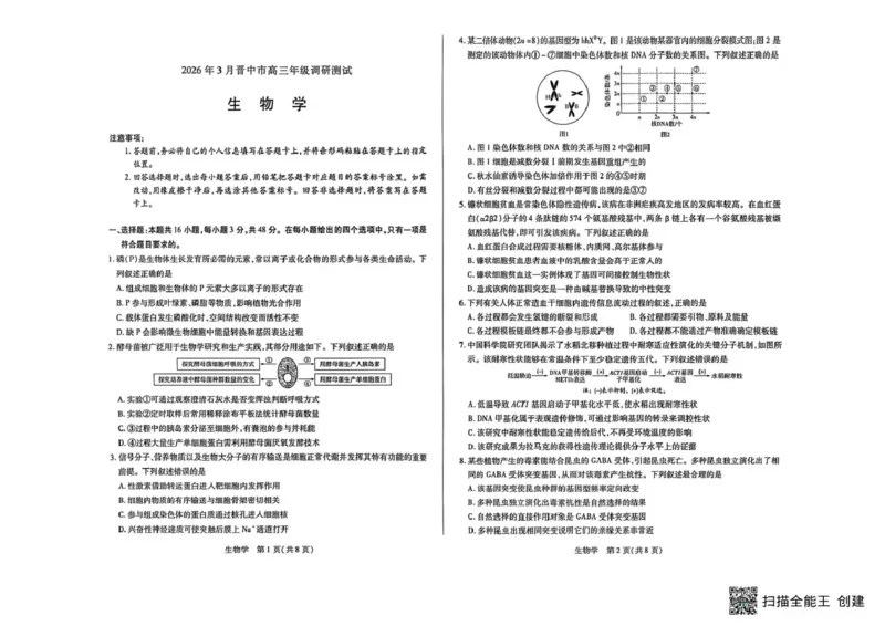山西省晋中市2026年3月高三年级调研测试生物_2024-2026高三（6-6月题库）_2026年03月高三试卷_260313山西省晋中市2026年3月高三年级调研测试（晋中二模）（全科）