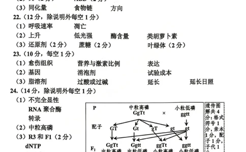 嘉兴二模生物答案_2024-2026高三（6-6月题库）_2026年04月高三试卷_260411浙江省嘉兴市2025-2026学年高三下学期二模（全科）_浙江省嘉兴市2025-2026学年高三下学期二模生物试题（含答案）