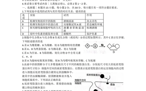 山东省2022-2023学年高三10月百校联考生物试题_生物高考模拟题_新高考_2023年