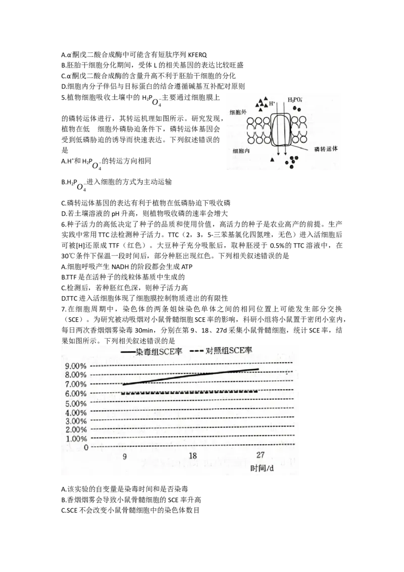 山东省2022-2023学年高三10月百校联考生物试题_生物高考模拟题_新高考_2023年