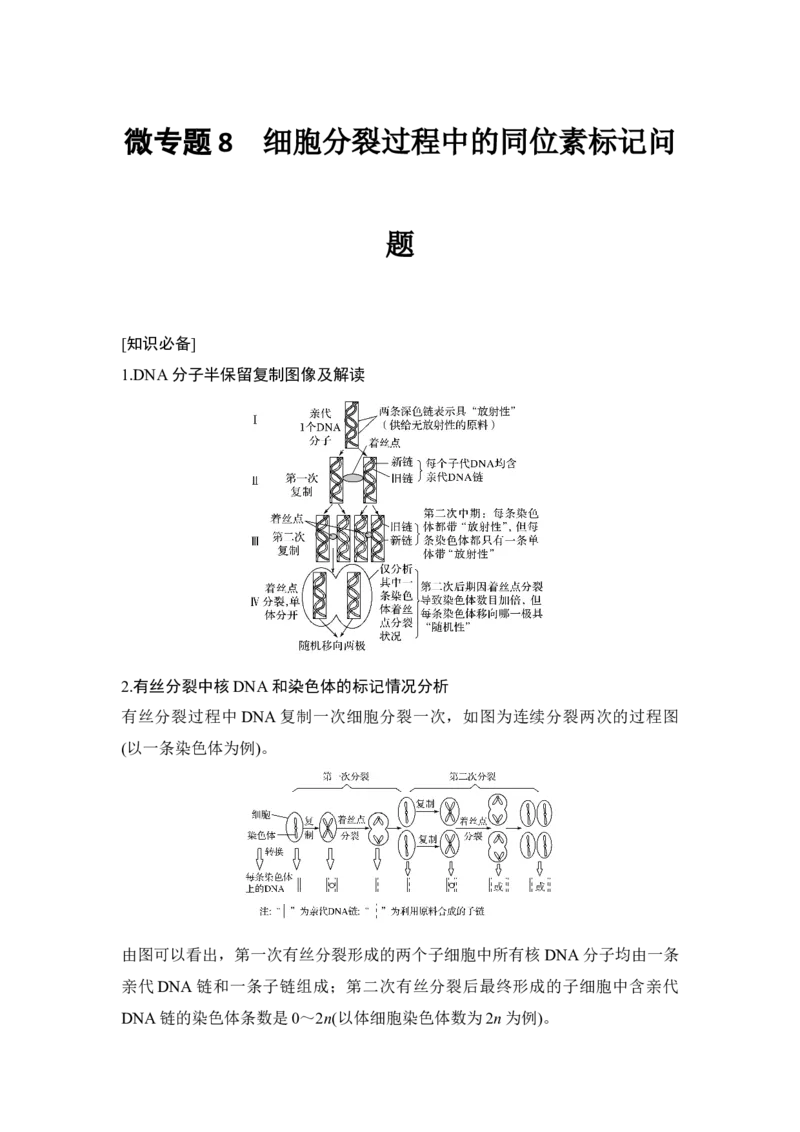 微专题8细胞分裂过程中的同位素标记问题_通用版（老高考）复习资料_2023年复习资料_一轮复习_2023年高考生物一轮复习讲义+课件（全国版）_2023年高考生物一轮复习讲义（全国版）