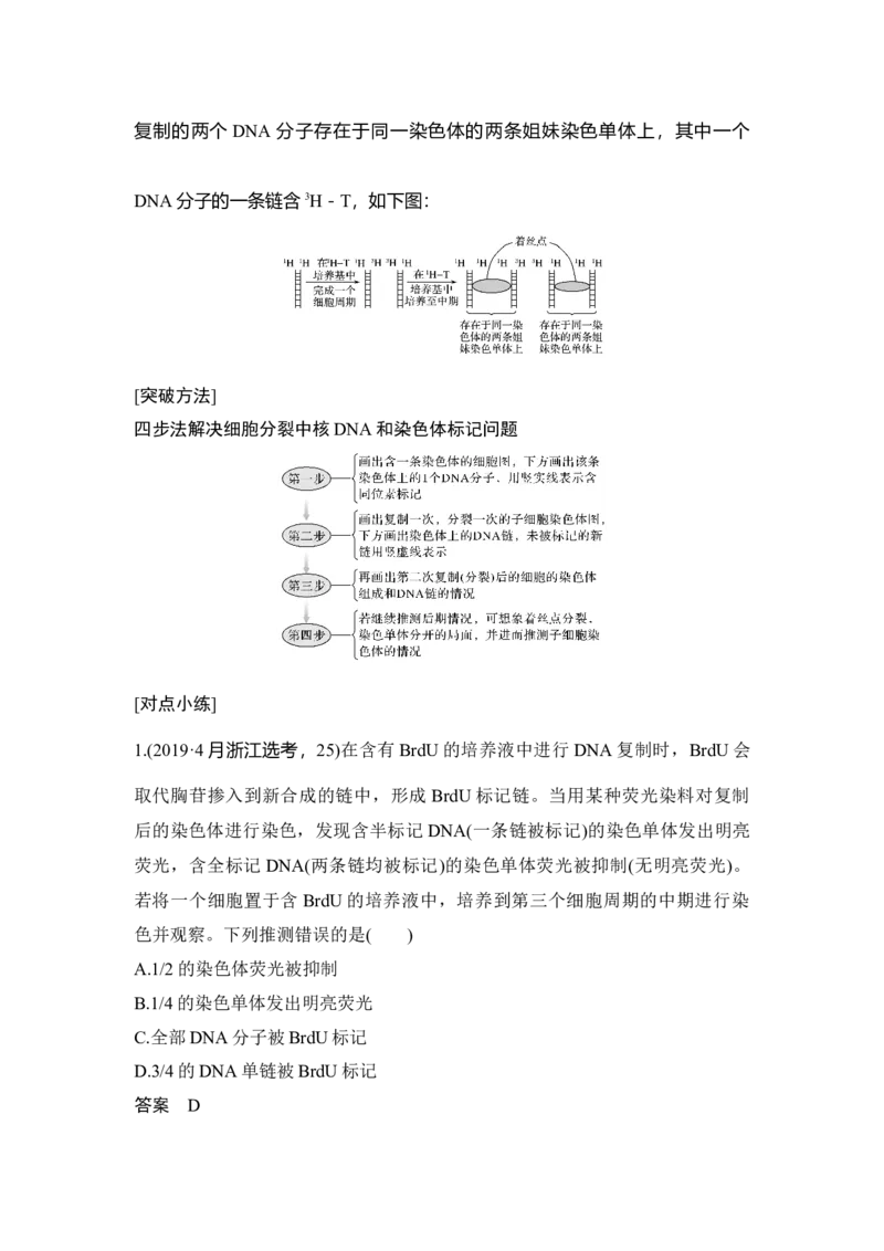 微专题8细胞分裂过程中的同位素标记问题_通用版（老高考）复习资料_2023年复习资料_一轮复习_2023年高考生物一轮复习讲义+课件（全国版）_2023年高考生物一轮复习讲义（全国版）