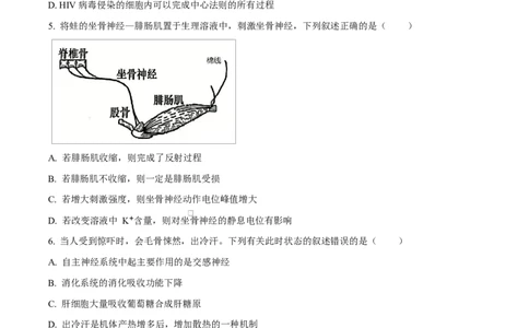 精品解析：黑龙江省实验中学2026届下学期高三联合模拟考试生物试题（原卷版）_2024-2026高三（6-6月题库）_2026年03月高三试卷_黑龙江省实验中学2026届高三学年3月联合模拟考试生物试题