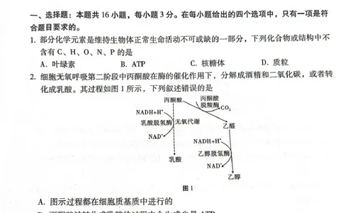 西南名校联盟2026届&ldquo;3+3+3&rdquo;高考备考诊断性联考（三）生物_2024-2026高三（6-6月题库）_2026年04月高三试卷_260419西南名校联盟2026届3+3+3高三4月联考（全科）